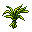 Herb6